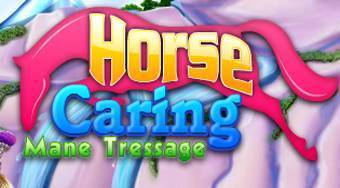 Horse Caring Mane Tessage