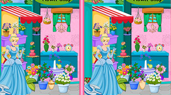 Cinderella Flower Shop Find 10 Diff